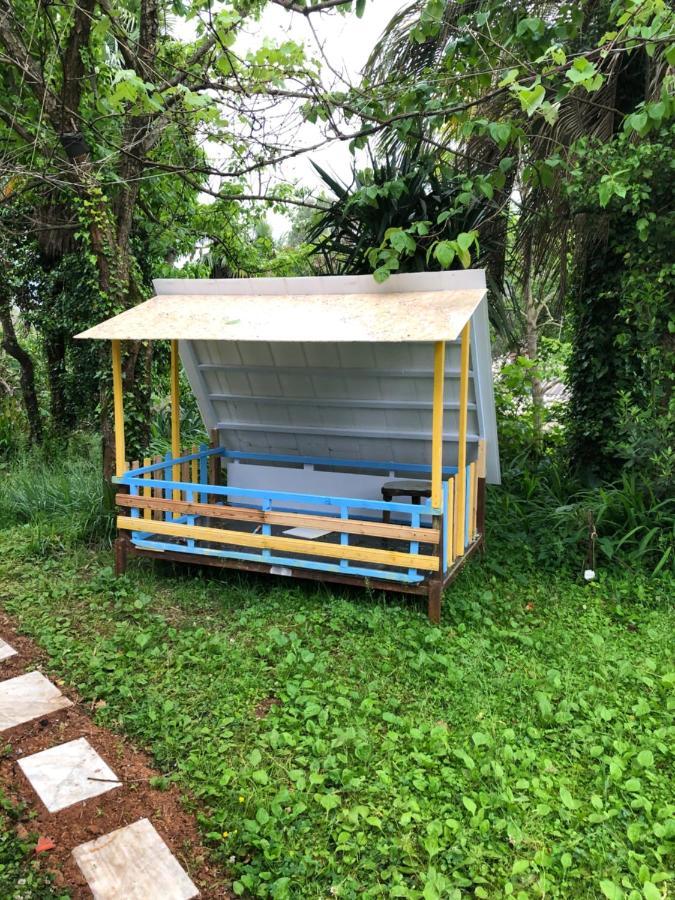 Hostel Eco チャクビ エクステリア 写真