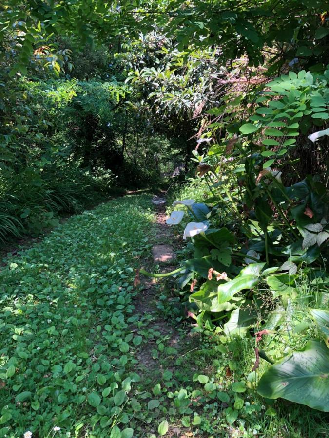 Hostel Eco チャクビ エクステリア 写真